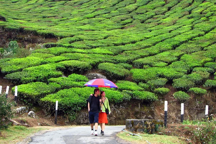 Munnar’s Honeymoon experince